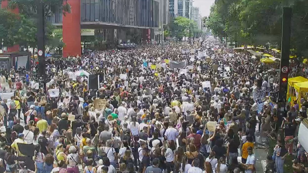 Ato na Avenida Paulista, em SP, neste domingo (1°), pede Justiça contra os agressores do cão Orelha — Foto: Reprodução/TV Globo