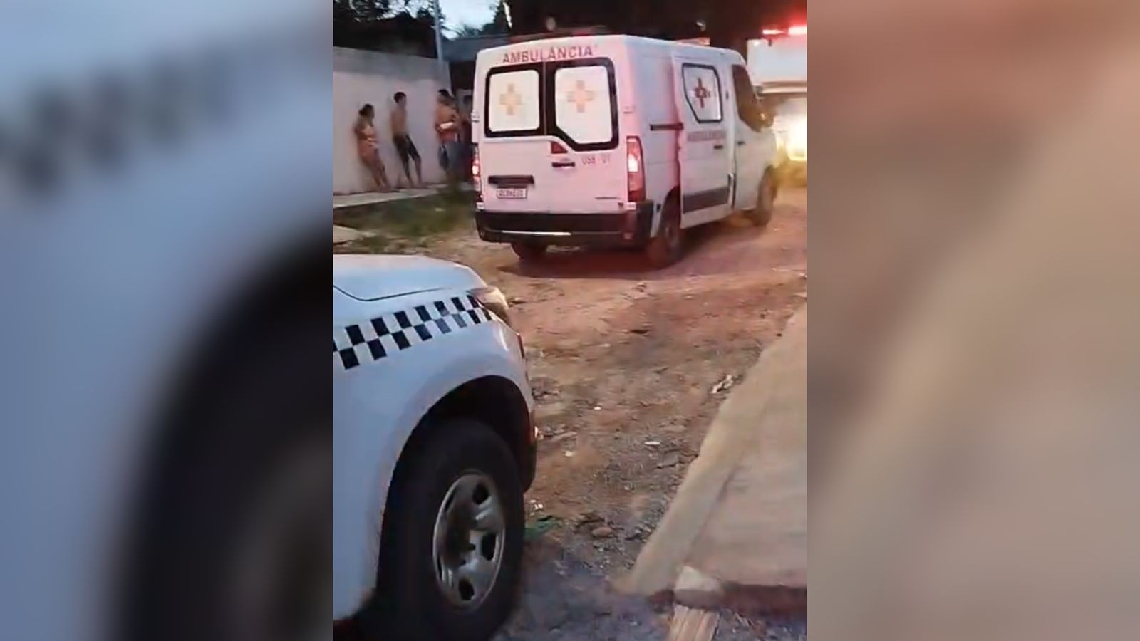 Menino de 7 anos fica gravemente ferido após ser  atacado por cachorro da raça 'Pitbull' em Santarém