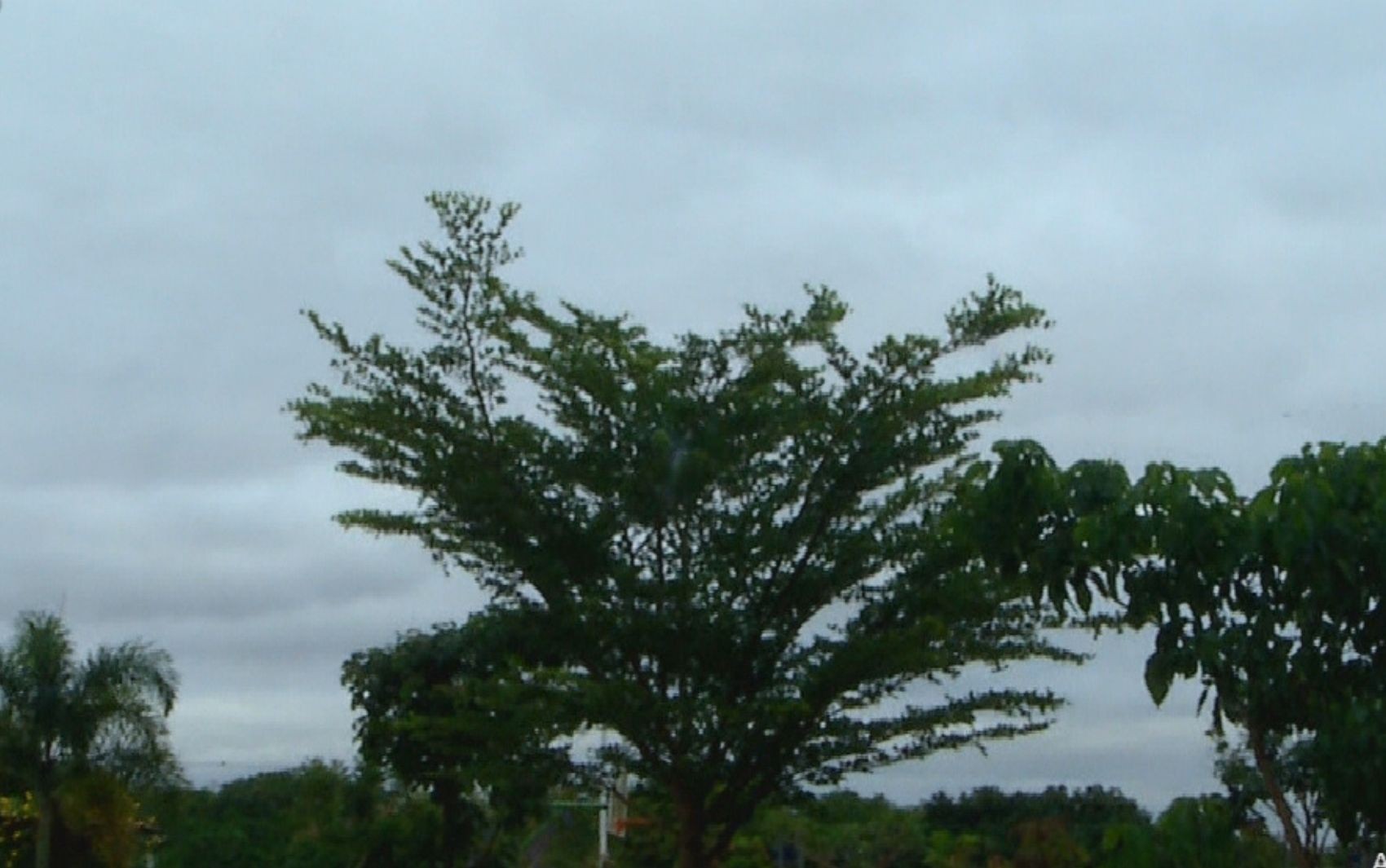 Goiás tem frio pela manhã e alerta de tempestade em mais de 40 cidades; veja a previsão
