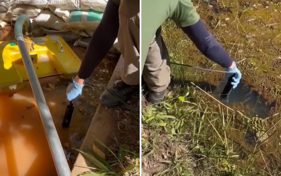 Surto de diarreia aguda em Goiás: saiba o que é e como tratar doença
