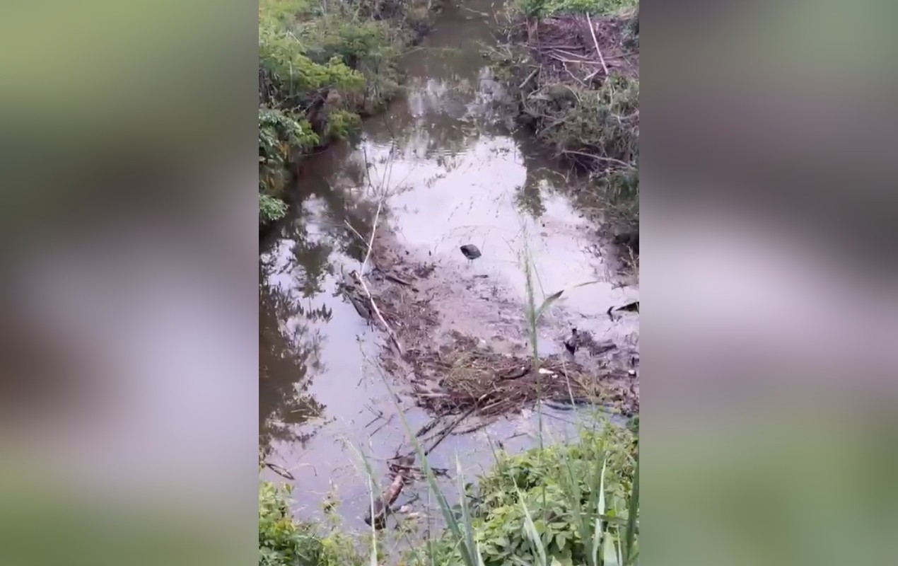 Mulher morre após carro cair em córrego de rodovia no interior de SP