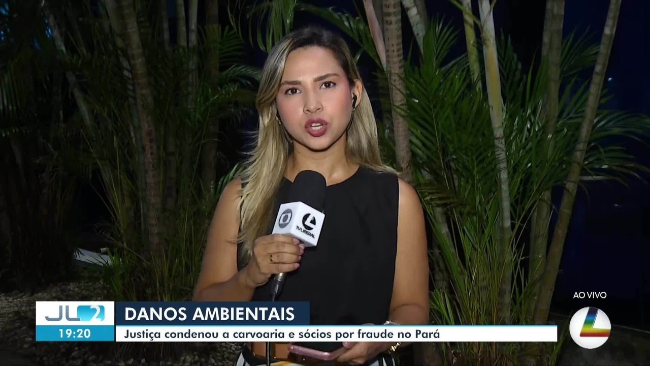 Justiça condena carvoaria de Tailândia, no Pará, a pagar R$ 127 milhões por fraudes e danos ambientais