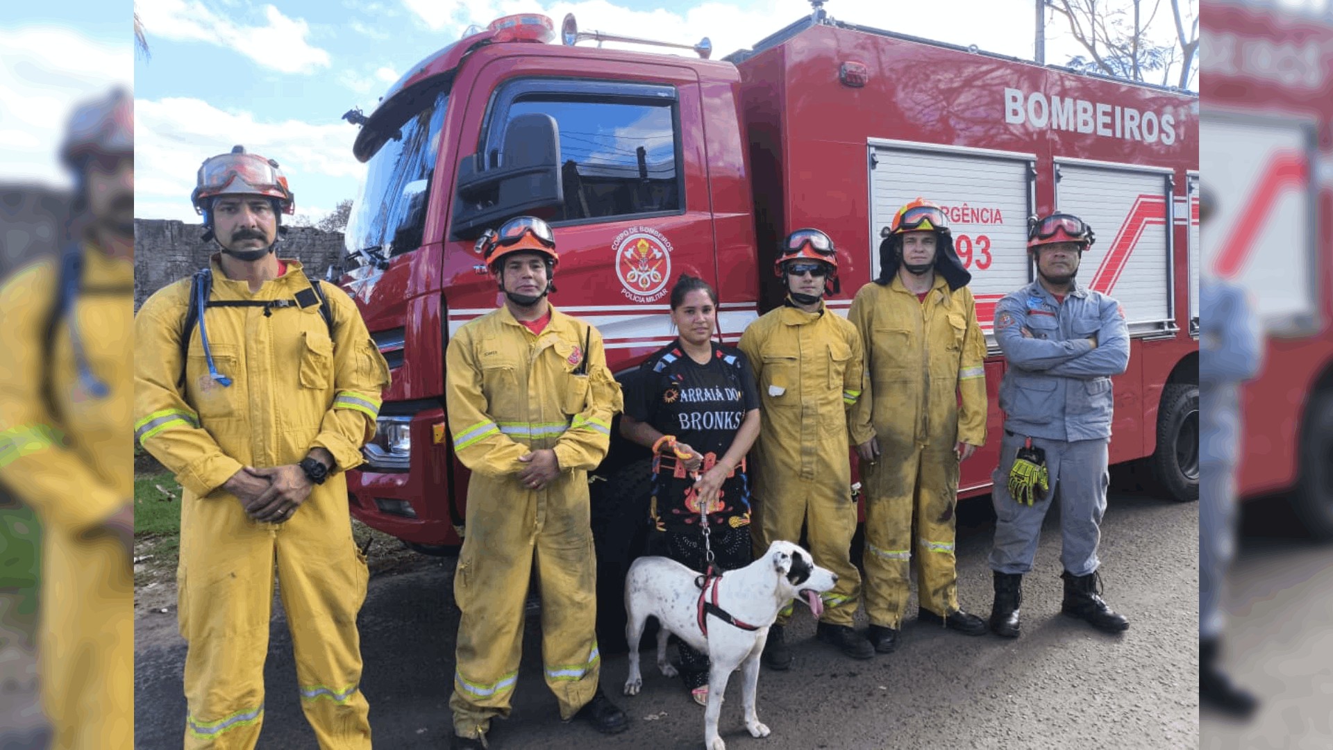Cachorro é resgatado após cair de penhasco de 15 metros em Marília