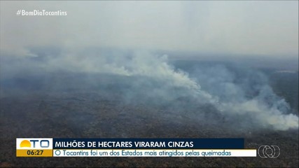 Mais de 2,5 milhões de hectares foram queimados no Tocantins em 2024
