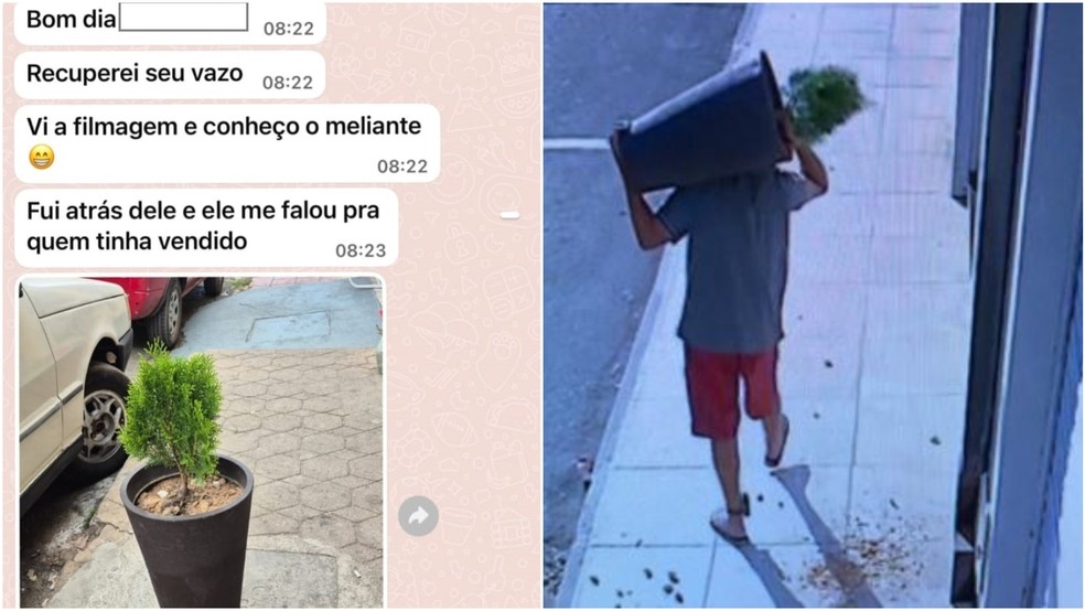 Proprietária de loja recuperou vaso furtado após publicação na rede social. — Foto: Instagram/ Reprodução