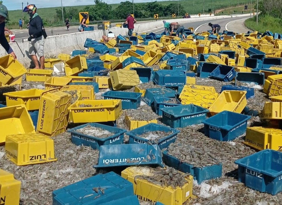 Carga de camarão de caminhão tombado na BR-101, na Paraíba — Foto: Foto: Arquivo pessoal.