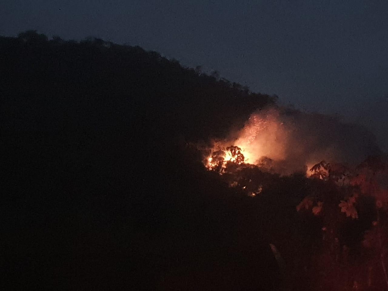 Terra do fogo: como Roraima se tornou o estado com maior número de incêndios em fevereiro de 2024