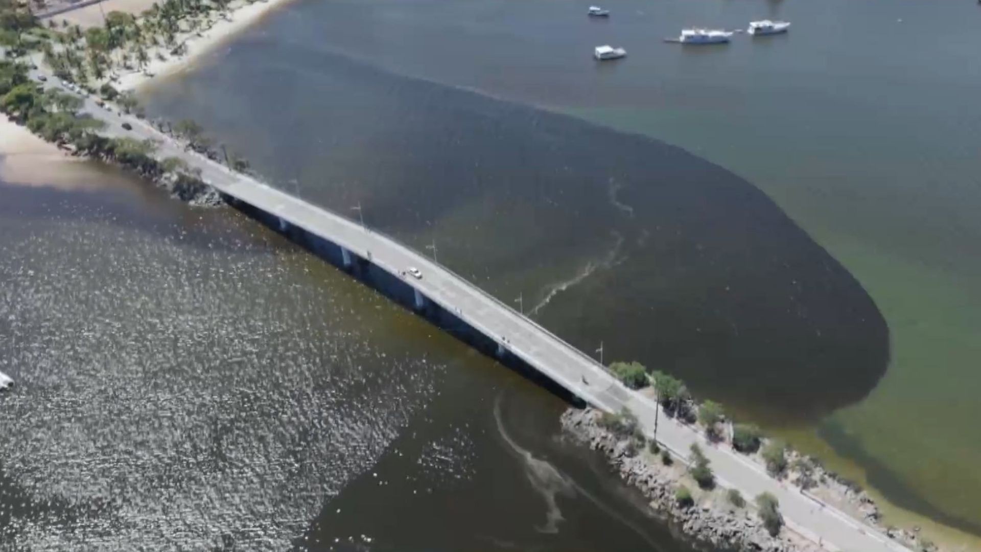 Praias de Vitória têm esgoto e bactérias acima do normal; tribunal cobra medidas contra poluição