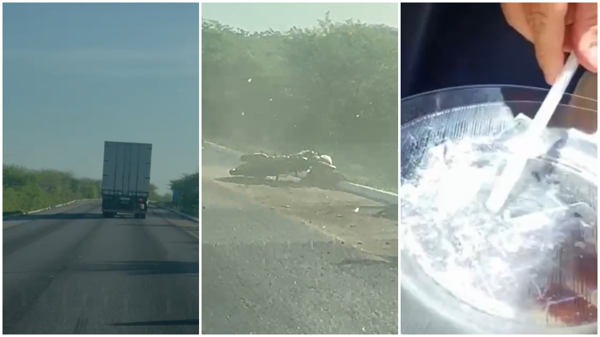 Caminhoneiro sob efeito de cocaína é preso após atropelar policial na BR-116