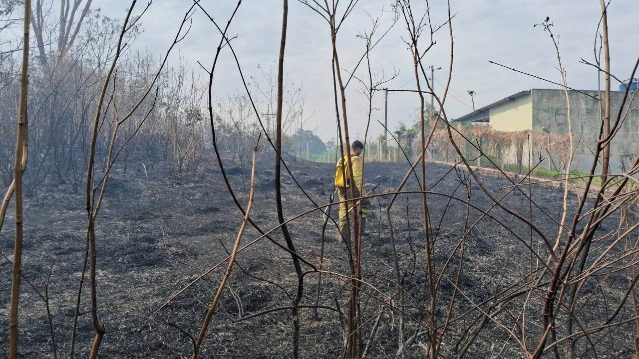 Incêndio atinge área de vegetação próxima à SP-270 em Presidente Prudente