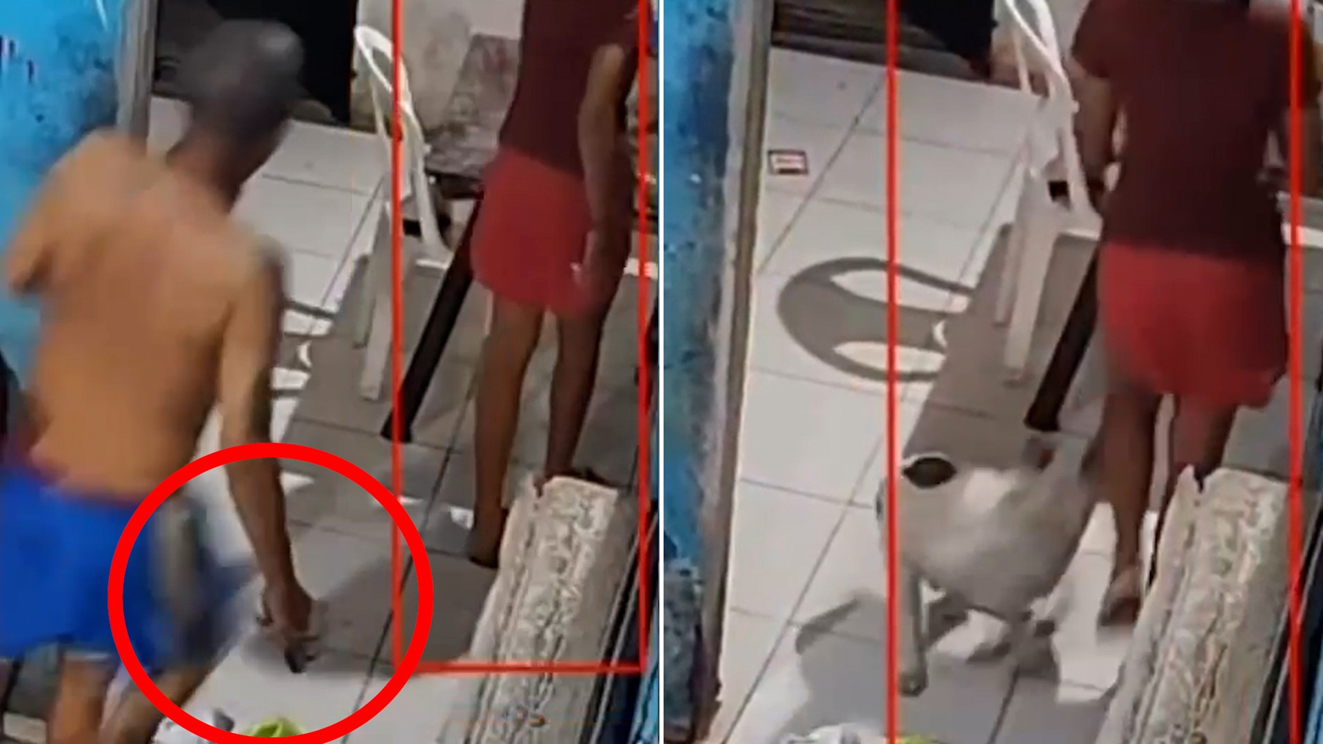 Vídeo: jovem instala câmera após suspeita de maus-tratos a pets e flagra tio agredindo cachorro com chinelo