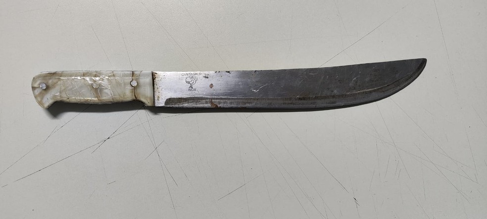 Ocorrência foi registrada no bairro Parque Furquim, em Presidente Prudente (SP) — Foto: Polícia Civil