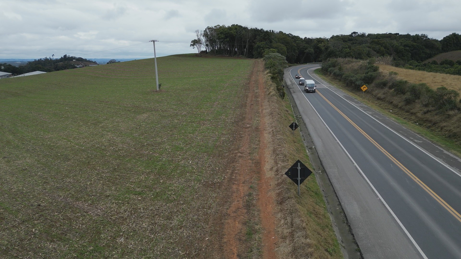 Faixas de domínio em rodovias do Paraná estão liberadas para plantio de 'culturas baixas'; saiba como usar as áreas