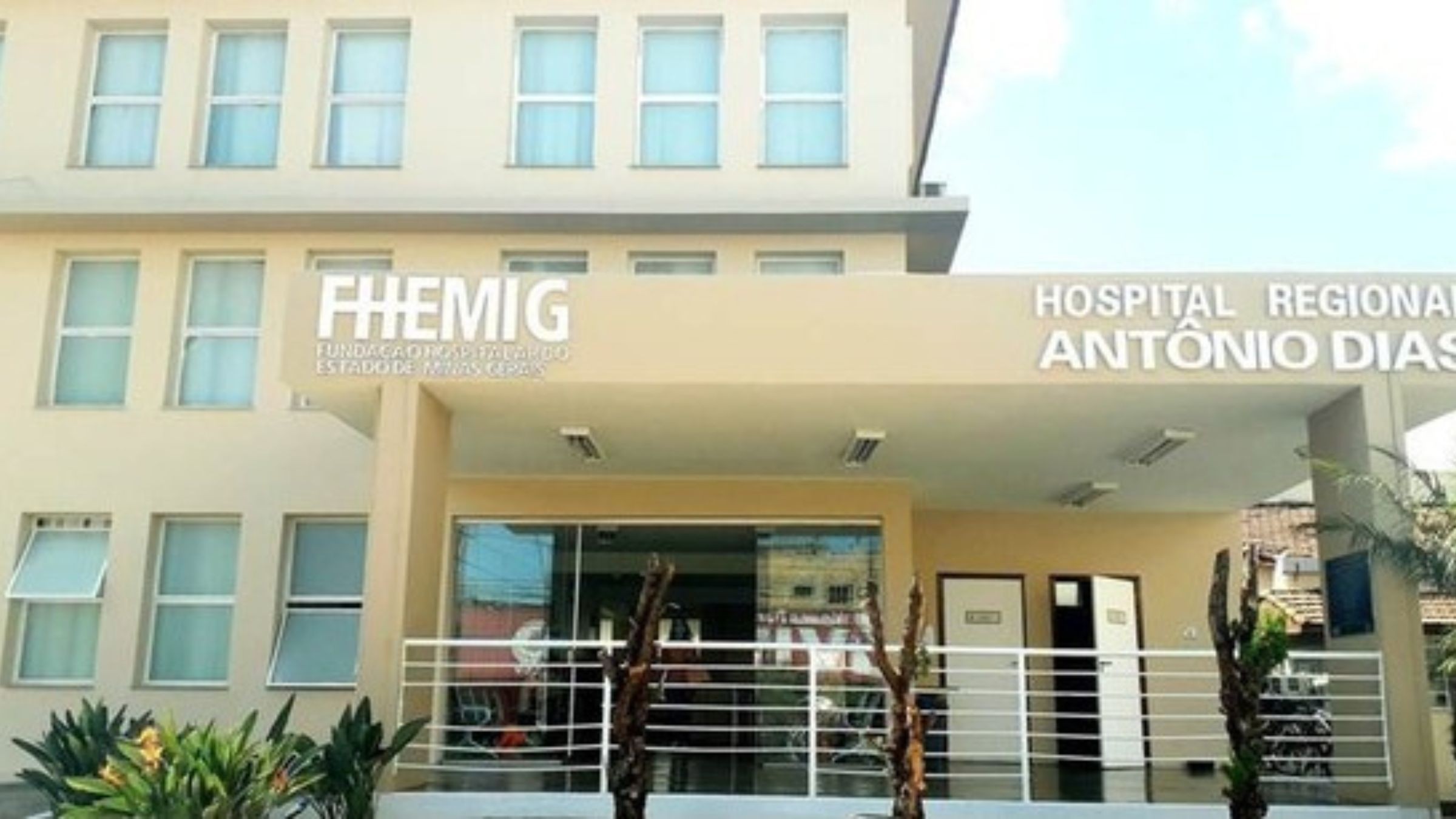 Idoso morre ao cair de abacateiro enquanto colhia frutas em MG