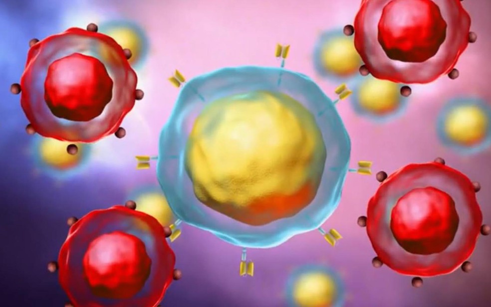 CAR-T Cell: Linfócitos retirados do paciente e modificados em laboratório voltam à corrente sanguínea e combatem células cancerígenas hemocentro ribeirão preto, SP — Foto: Arte/TV Globo