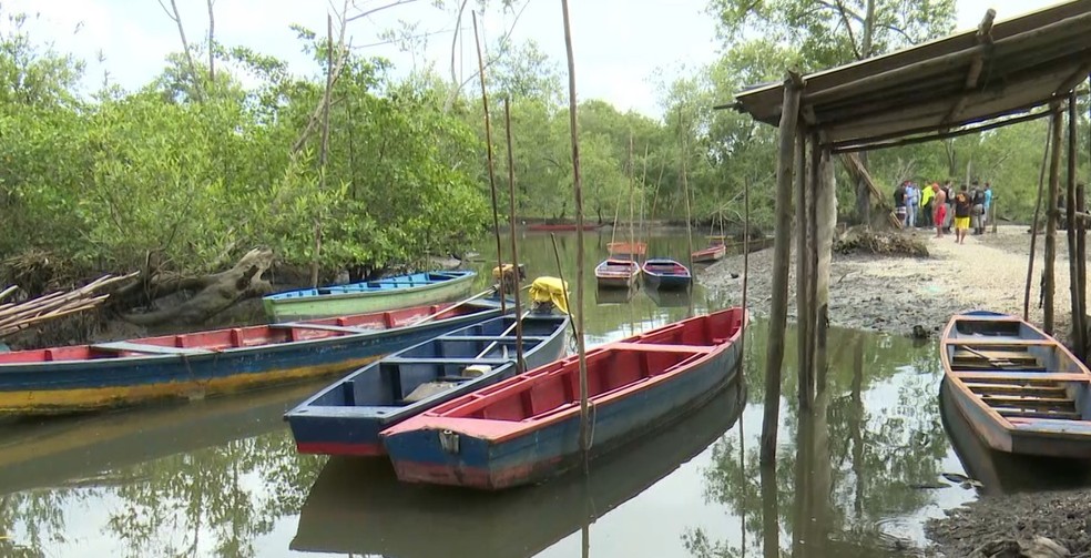 Três corpos são encontrados em mangue de Bayeux, após tiroteio na quinta-feira (21) — Foto: TV Cabo Branco