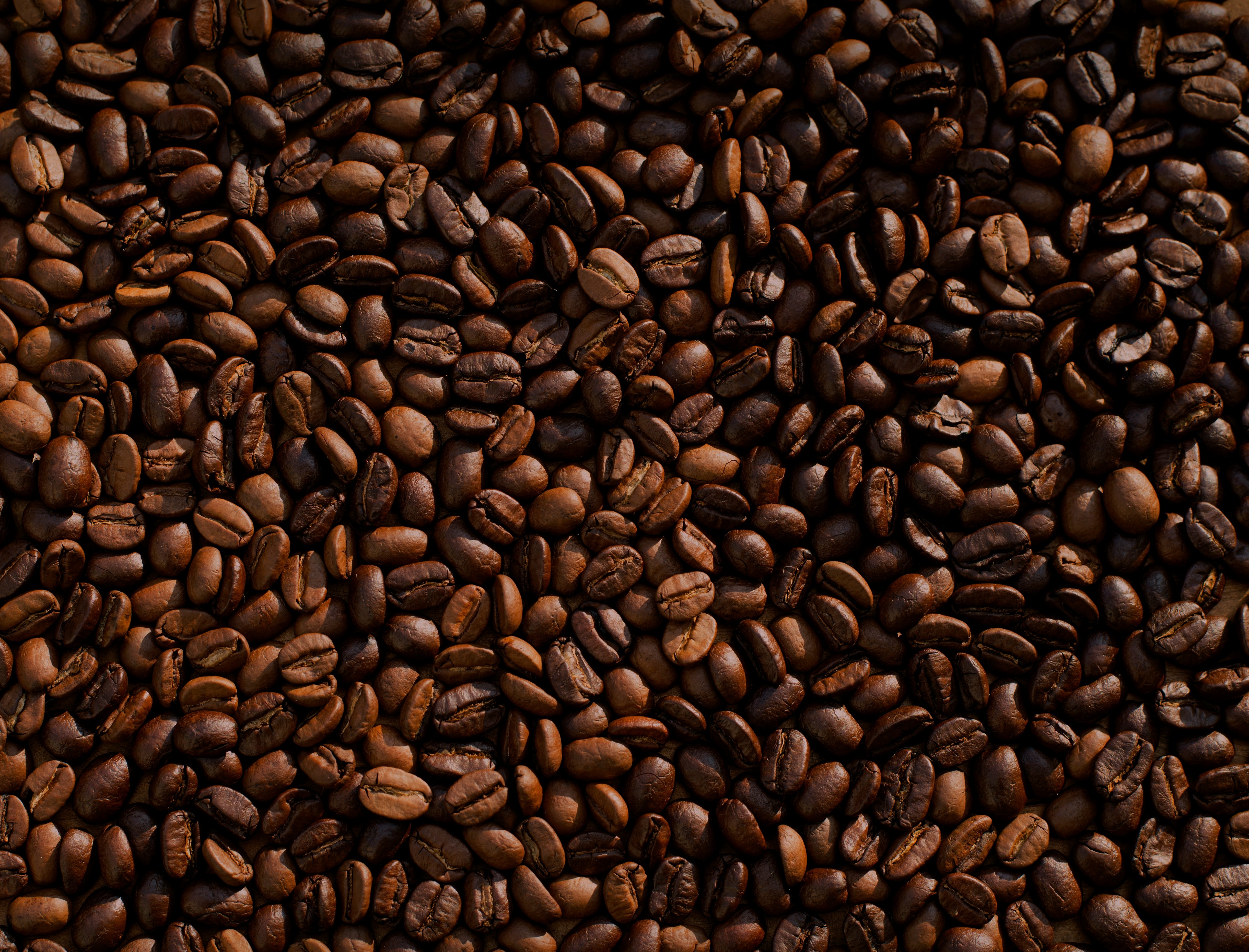 Florada Premiada: Rondônia tem 13 das 20 finalistas em concurso nacional de café