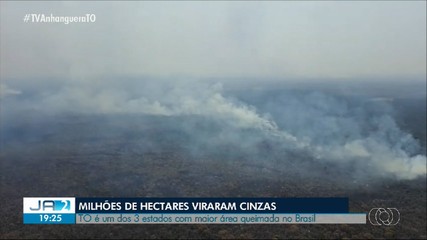 Tocantins é um dos três estados com maior área queimada no Brasil