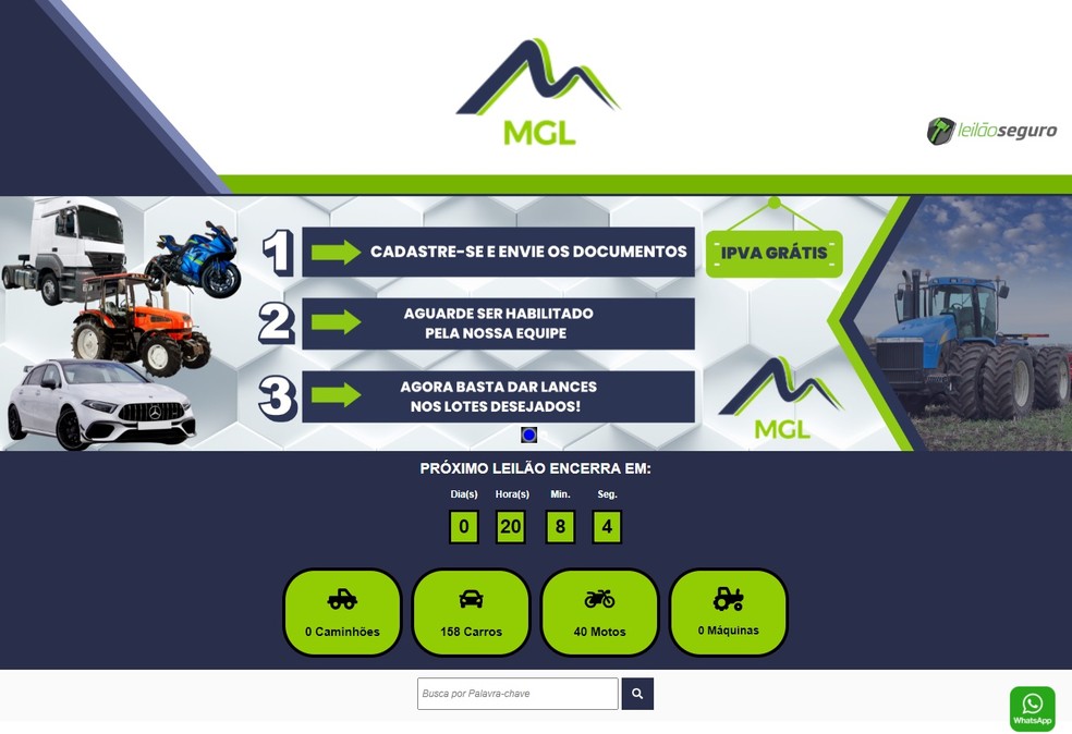 Site falso de leilão usado pela quadrilha — Foto: Reprodução