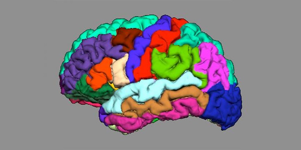 Cientistas mostram que relação entre 'dobras' no cérebro pode prever risco  de psicose | Bem Estar | G1