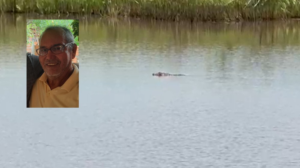 Corpo de aposentado é encontrado ao lado de jacarés com marcas de mordidas em açude no interior de SP