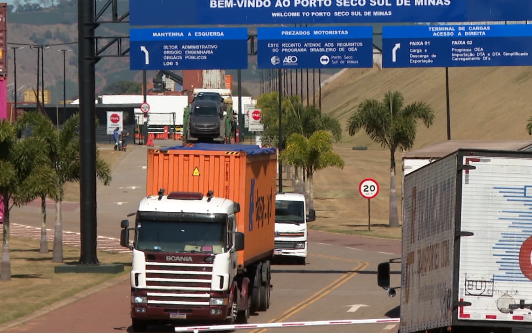 Taxação de 50% dos EUA sobre o café deve afetar mais os americanos que os produtores no Brasil, avaliam exportadores em MG