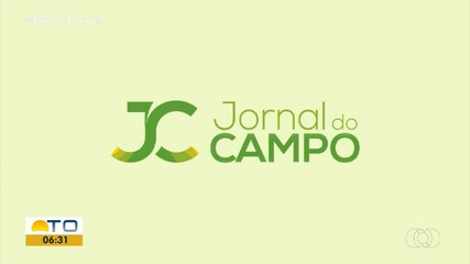 Confira os destaques do Jornal do Campo deste domingo (7)