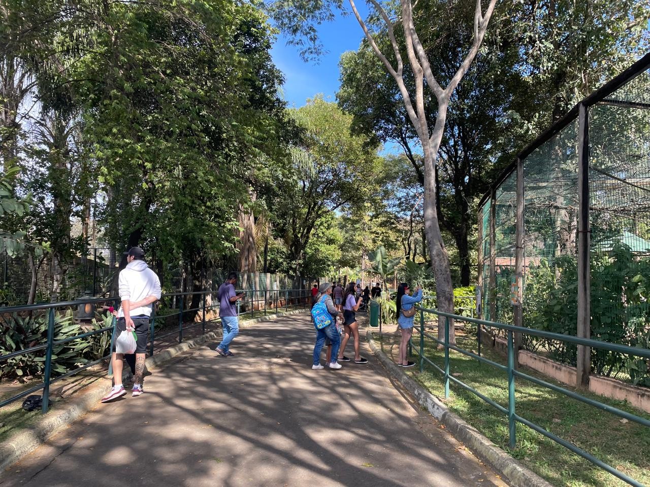 Câmara de Piracicaba vota propostas de concessão do zoológico, gestão de cemitérios e pátio de veículos