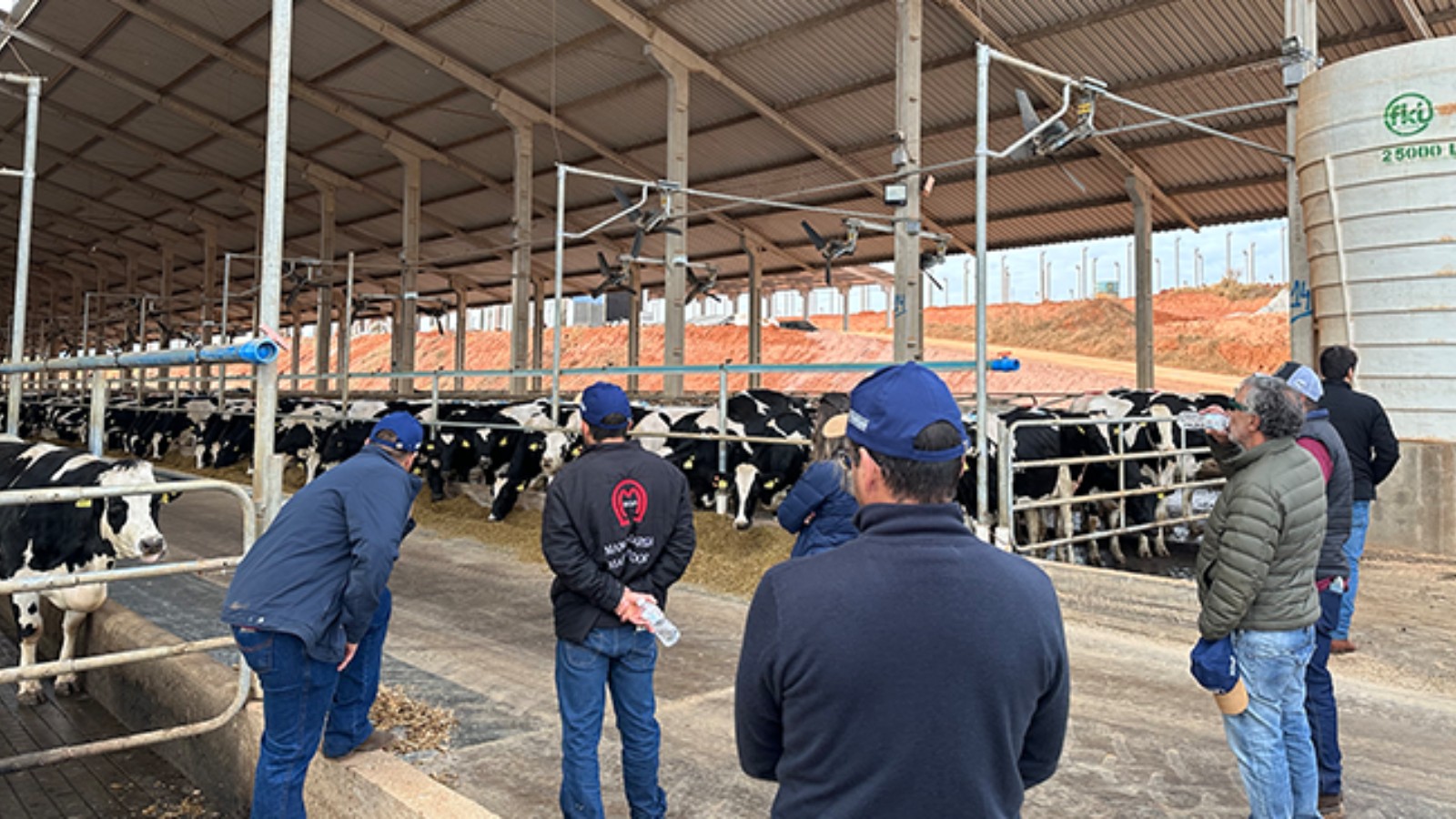 Leite atinge produção recorde na região do Sul de Minas