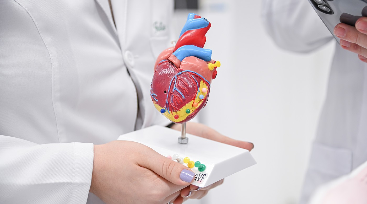 Coração em foco: hábitos que fazem a diferença na saúde cardiovascular