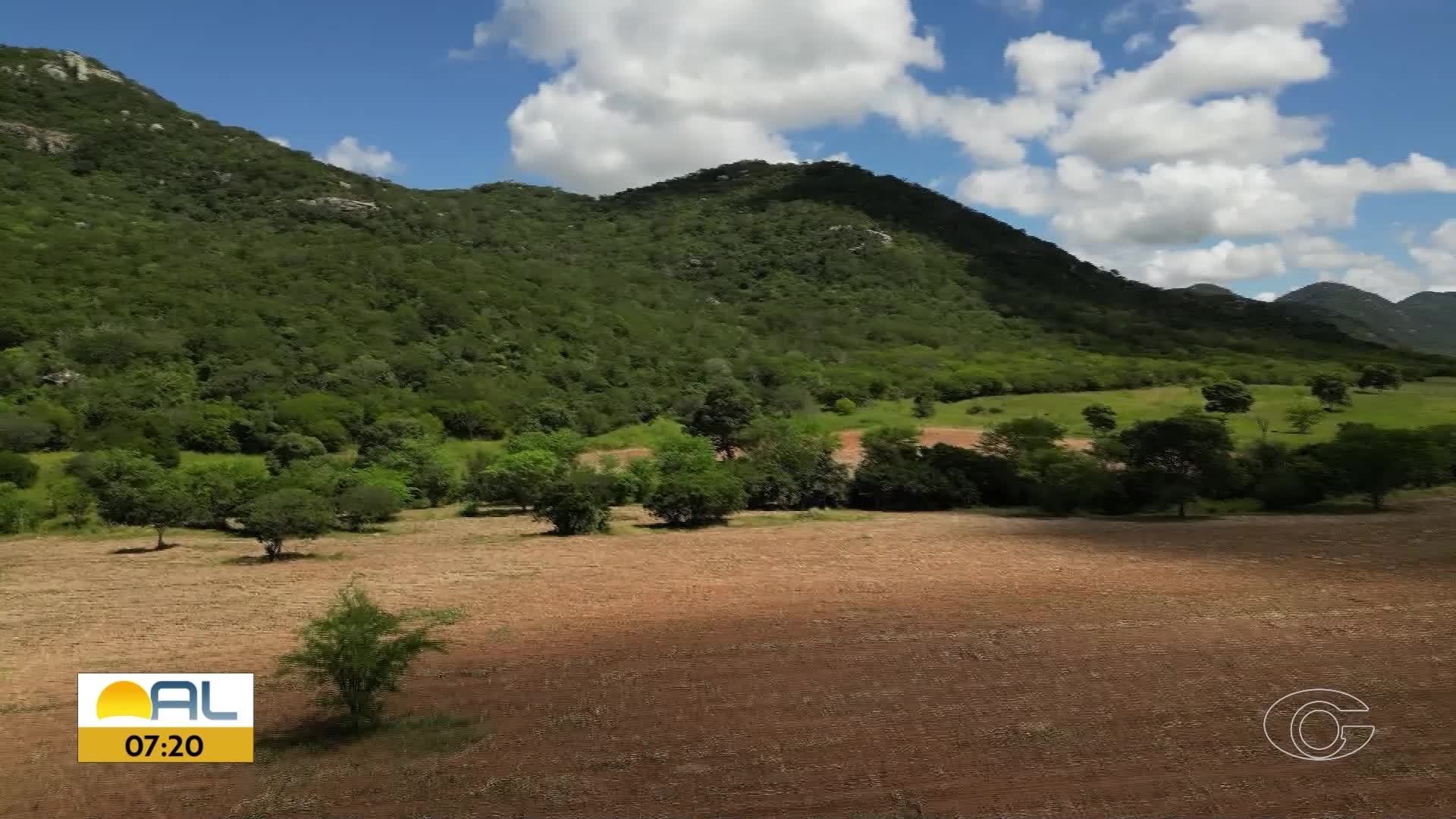 VÍDEOS: Bom Dia Alagoas de quinta-feira, 11 de setembro