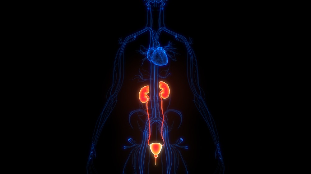 Nova técnica de imagem detecta quase 98% dos casos de carcinoma renal de células claras