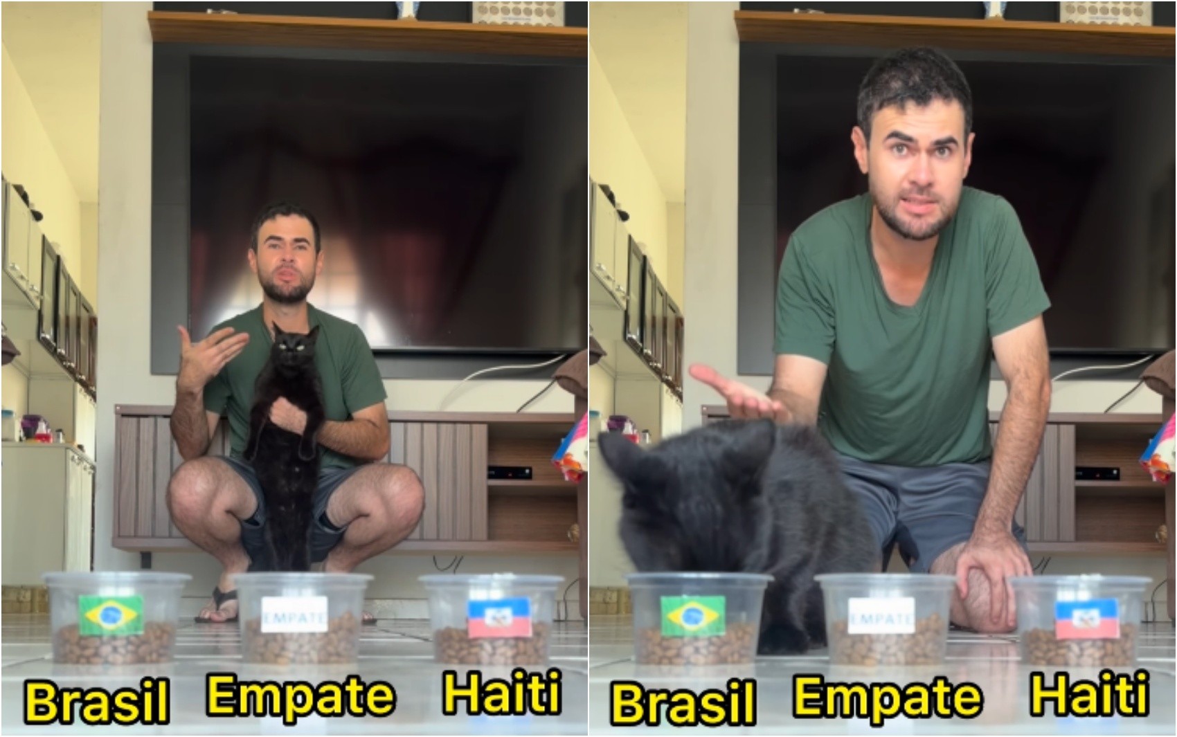 Gato 'vidente' que acertou empate entre Brasil e Marrocos aposta em vitória da Seleção contra o Haiti