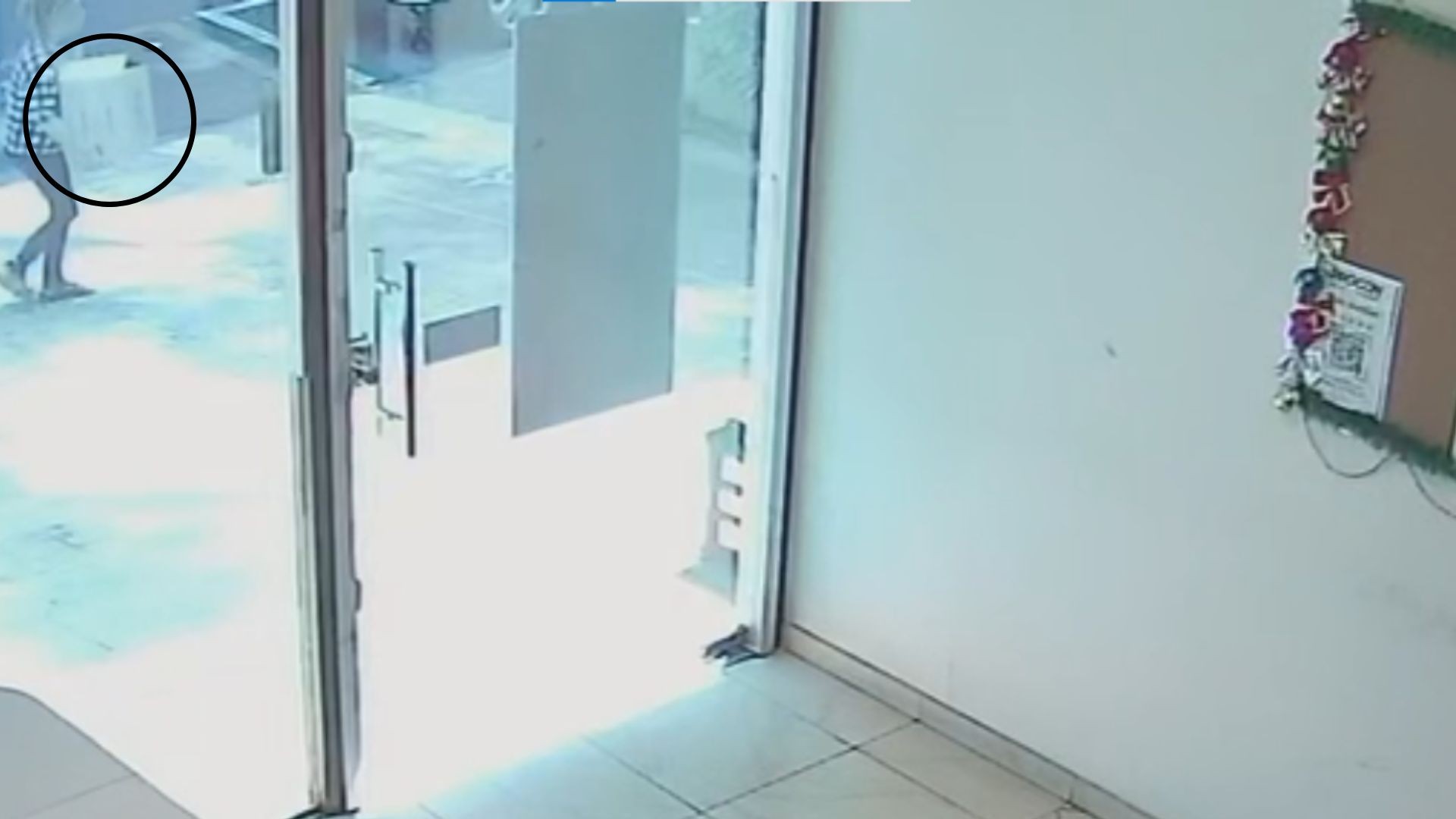 Idosa é presa após abandonar filhotes de gato em frente ao Procon de Rio Preto; vídeo