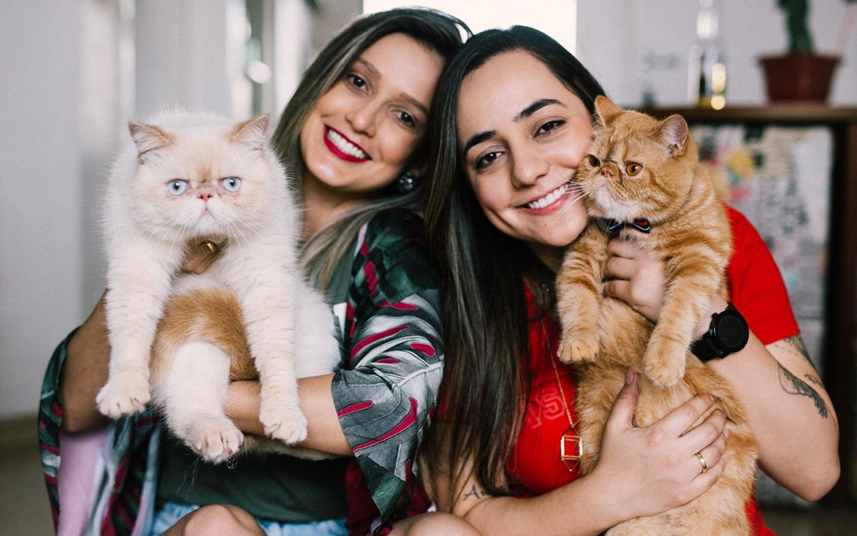 Você Não Tá Convidada pro Meu Bat Mitzvá!