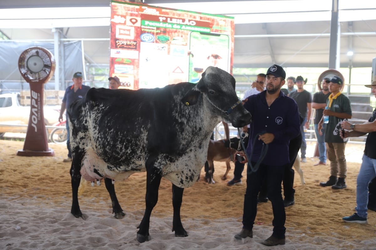 Expoagro 2025: primeiro Leilão Agropecuário arrecada R$ 337,9 mil