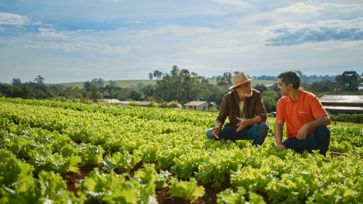 Cresol leva cooperação e crédito rural do Sudoeste do Paraná para todo o Brasil