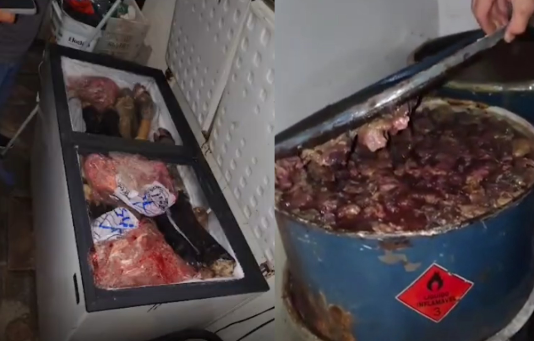 Oito toneladas de carne imprópria para consumo são apreendidas em Lagarto 