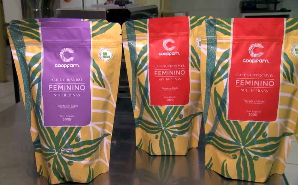 'Café feminino' — Foto: Reprodução Globo Rural