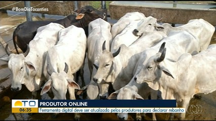 Prazo para atualização da ferramenta ‘Produtor Online’ é prorrogado até 30 de novembro