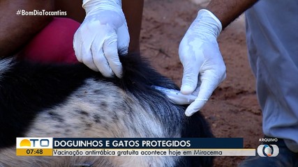 Campanha leva vacina antirrábica para zona rural de Miracema