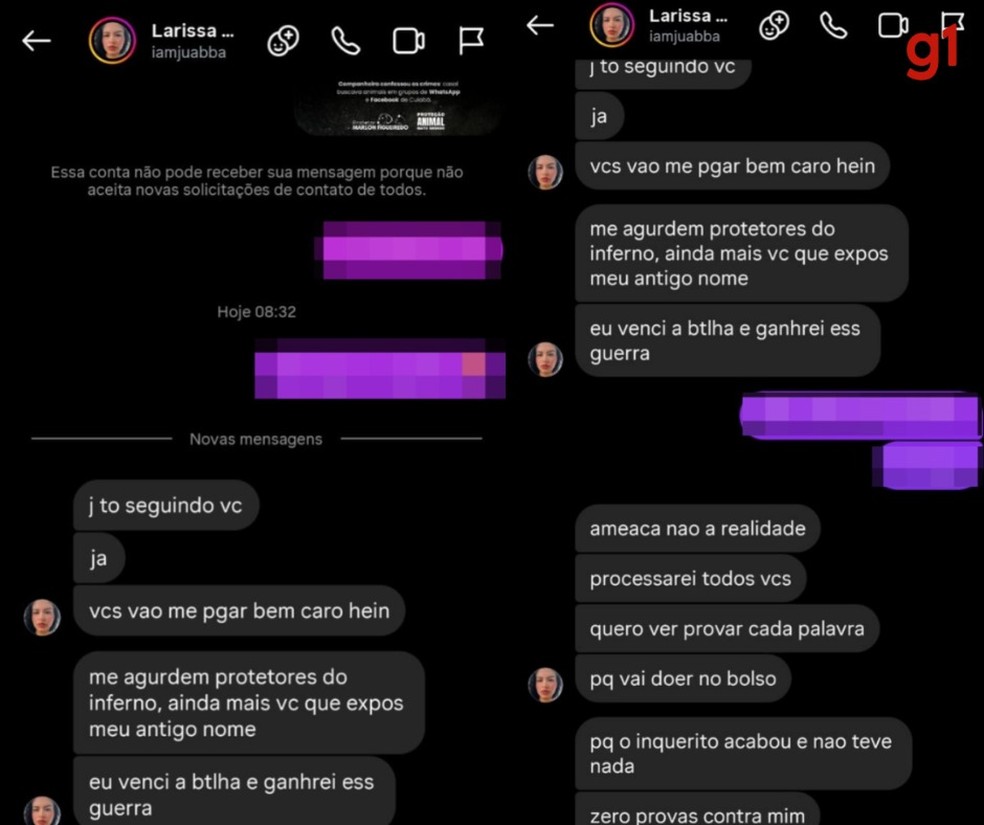 Captura de tela que mostra a troca de mensagens entre a investigada e um dos voluntários da ONG — Foto: Arquivo g1