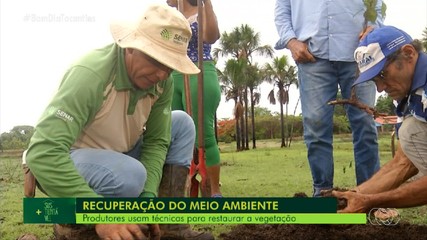 Produtores usam técnicas para restaurar vegetação em propriedades