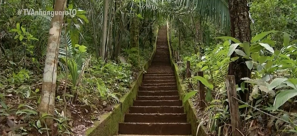Escadaria de 152 metros em meio à vegetação do cerrado dá acesso à trilha — Foto: Reprodução/ TV Anhanguera