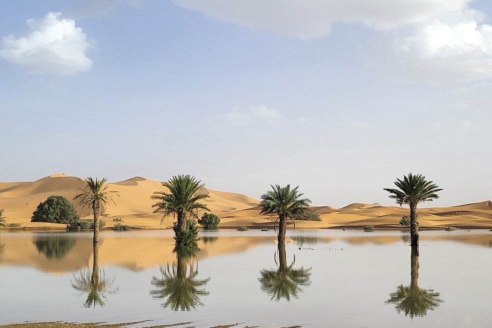 Palmeiras ao redor de uma lagoa formado pela intensa chuva em Merzouga, Marrocos, em 2 de outubro de 2024. — Foto: AP Photo