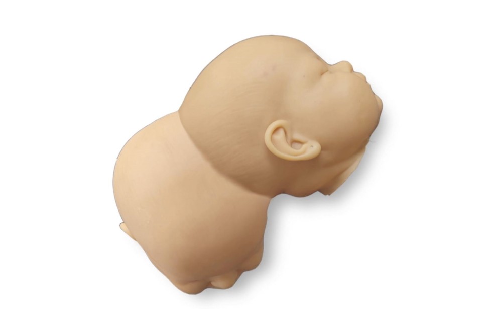 Imagem em 3D mostra como gêmeas, que serão separadas no HC em Ribeirão Preto (SP), estavam na barriga da mãe, em novembro de 2023. — Foto: Reprodução/EPTV