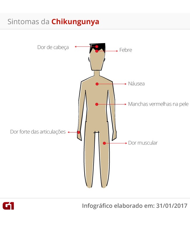 Duas mortes por chikungunya são confirmadas em MT 