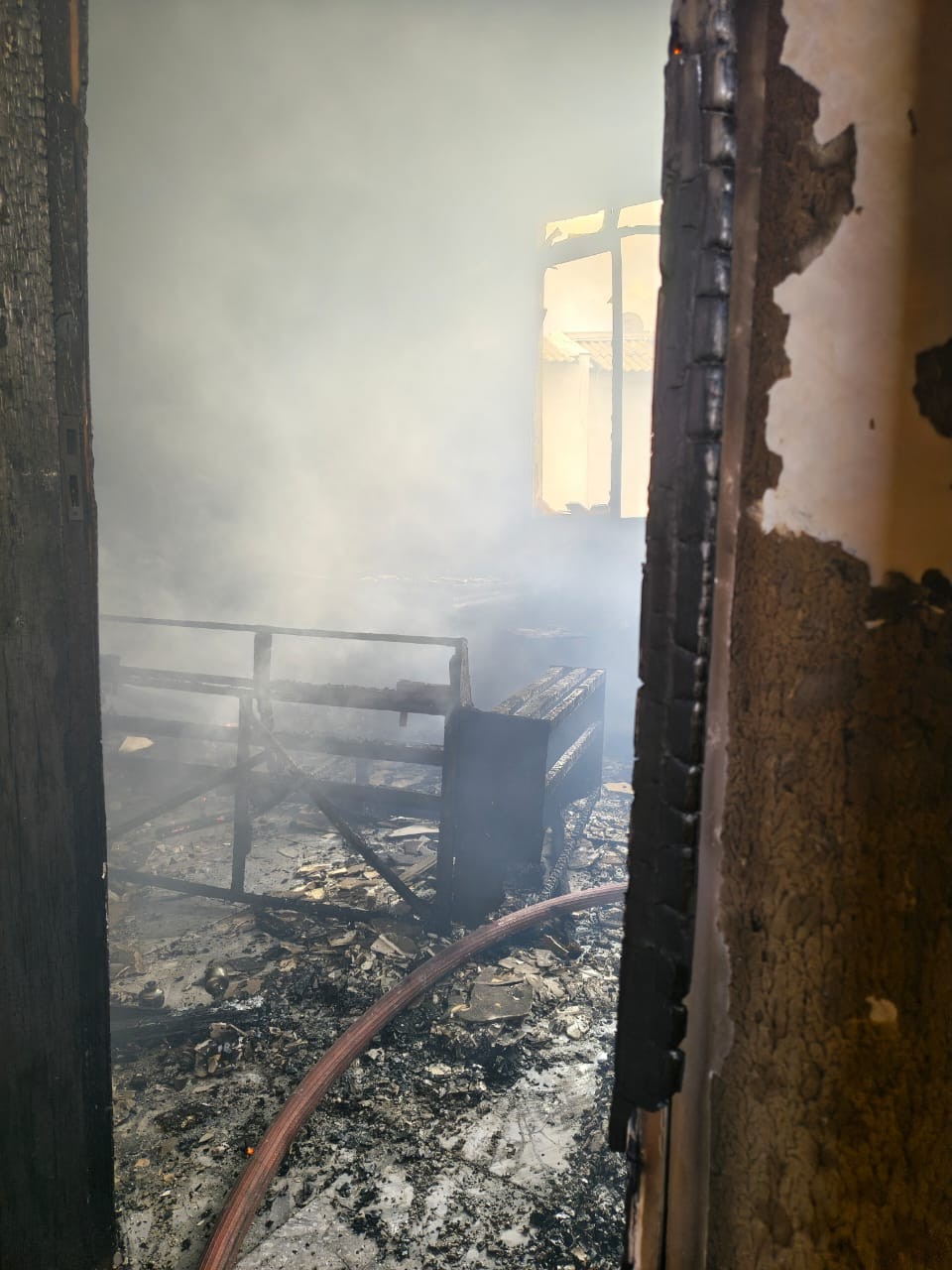 VÍDEO: bombeiros salvam cachorro durante combate a incêndio em apartamento em BH