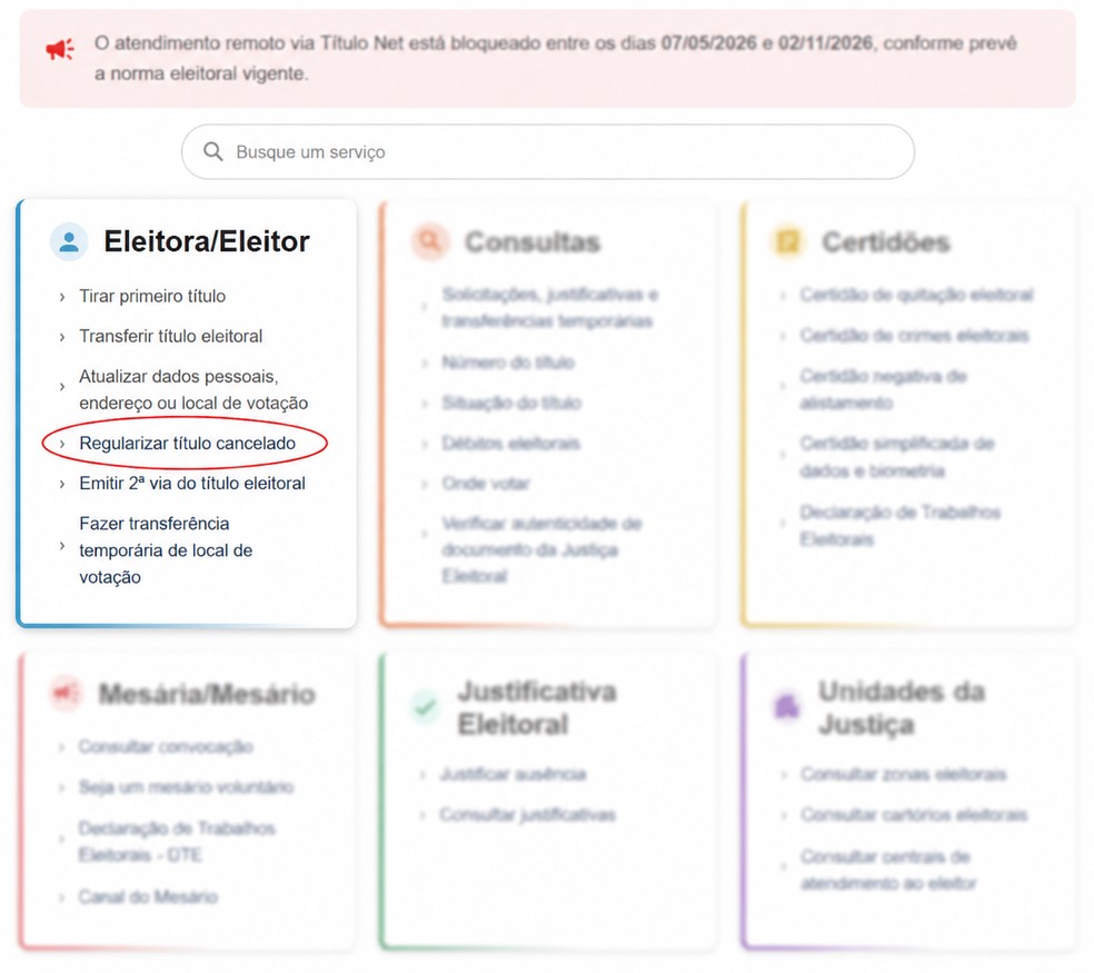 Reprodução de tela do portal do TSE para regularizar o título eleitoral. — Foto: Reprodução