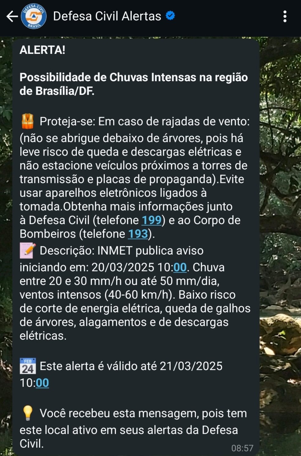 Print da Defesa Civil — Foto: Reprodução redes sociais